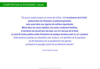 COMPOSITION et PAYSAGES / arbres "Ce que je voulais évoquer au niveau de la flore, c'est  la présence de la forêt  :  partout dans les Pyrénées, le piémont pyrénéen,  mais aussi dans ces régions de collines importantes.  Même dans les zones habitées, les zones ruralement habitées,  le territoire est couvert par des bois, car ce n’est pas de la forêt,  ce sont de toutes petites unités forestières de quelque hectares mais il y en a partout.   Cette présence participe aux répartitions des couleurs, à la répartition de la population.  J’ai dit l'importance de ce peuplement rural agricole  qui façonne le paysage à partir de ces éléments naturels."  Antoine Pélissié du Rausas 