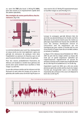 ou semi- fini( TSF) plus lourd à 340 kg PV (16%),          veau sevré et 26 à 27 dh/kg PV respectivement pour
pour être soumis à un engraissement rapide dans            un taurillon maigre ou semi-fini.(fig.n°21).
des ateliers spécialisés.

Des stratégies de ventes particulières chez les
naisseurs. (fig.n°20).




                                                           Lorsque la campagne agri cole démarre bien de
                                                           po i nt de vue pluviométri q u e, il en résulte une fo rte
                                                           demande sur les jeunes bovins pour les mettre au
                                                           pâturage, e n g e n d ra nt une hausse très sensible des
                                                           cours des animaux d’embouche entra nt en
                                                           concurrence avec les engraisseurs qui eux
                                                           n’ a c h è te nt pas pour mettre à l’ h e r be mais en vue
La commercialisation peut avoir lieu classiquement         d’une finition à l’auge à base de co n ce ntrés coûteux
                                                           et achetés à l’ extérieur.
en veaux sevrés ou non mais également après une
péri ode de cro i s s a n ce de quelques mois dans         La figure n°22 ci-dessous tra ce l’évolution de 1995 à
l’exploitation sur parcours et chaumes, que ce soit        2001 du prix réel du maigre acheté au niveau des
pour les jeunes bovins males ou pour les génisses.         souk par un grand engraisseur spécialisé qui
                                                           s’ a p p rovisionnait régulière m e nt en pe s a nt les
Pour des raisons probablement financière s, les            animaux à l’achat. Le prix moyen pour la péri ode était
éleveurs ont tendance à vendre leurs génisses très         de 25.5 dh/ Kg PV et oscillait ent re 21 et 29 dh/ Kg.
jeunes alors qu’ils vendent leurs taurillons à l’état
maigre ou semi-fini.                                       Cependant à partir de 2003, qui a été une année
                                                           pluvieuse après des années sèches, le prix du maigre
Le prix des animaux vendus par les naisseurs est très      n’ a rr ê te pas d’ a u g m e nter suite à une rétention
fluctuant et varie selon les années et la saison. En       importante des animaux et les cours ont dépassé la
générale, elle oseille autour de 40 dh /kg PV pour un      barre des 32 dh/ kg PV.




  34
                                                   Bovins maigres et finis : Production et marché au Maroc - 2004
 