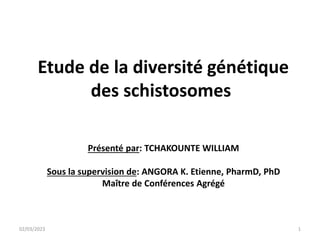 Etude de la diversité génétique
des schistosomes
Présenté par: TCHAKOUNTE WILLIAM
Sous la supervision de: ANGORA K. Etienne, PharmD, PhD
Maître de Conférences Agrégé
02/03/2023 1
 