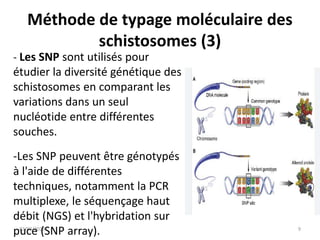 Etude de la diversité génétique des schistosomes td.pptx