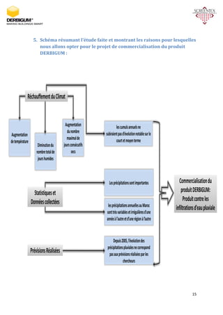 15
5. Schéma résumant l’étude faite et montrant les raisons pour lesquelles
nous allons opter pour le projet de commercialisation du produit
DERBIGUM :
 