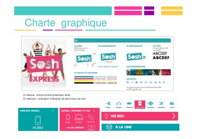 Charte Graphique Site Web Exemple