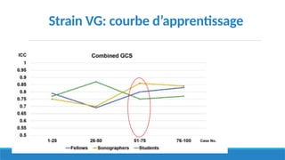 Strain VG: courbe d’apprentissage
 
