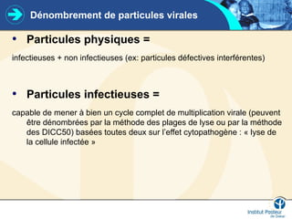 Dénombrement de particules virales
• Particules physiques =
infectieuses + non infectieuses (ex: particules défectives interférentes)
• Particules infectieuses =
capable de mener à bien un cycle complet de multiplication virale (peuvent
être dénombrées par la méthode des plages de lyse ou par la méthode
des DICC50) basées toutes deux sur l’effet cytopathogène : « lyse de
la cellule infectée »
 