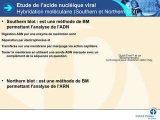 Etude de l’acide nucléique viral
Hybridation moléculaire (Southern et Northern blot)
• Southern blot : est une méthode de BM
permettant l'analyse de l'ADN
Digestion ADN par une enzyme de restriction sont
Séparation par électrophorèse et
Transférés sur une membrane par marquage via action capillaire.
Tester la membrane en utilisant une sonde ADN marquée avec un
complément de la séquence en question.
• Northern blot : est une méthode de BM
permettant l'analyse de l'ARN
QuickTime™ et un
décompresseur
sont requis pour visionner cette image.
 