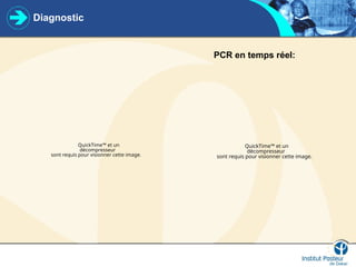 Diagnostic
PCR en temps réel:
QuickTime™ et un
décompresseur
sont requis pour visionner cette image.
QuickTime™ et un
décompresseur
sont requis pour visionner cette image.
 