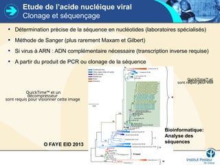 Etude de l’acide nucléique viral
Clonage et séquençage
• Détermination précise de la séquence en nucléotides (laboratoires spécialisés)
• Méthode de Sanger (plus rarement Maxam et Gilbert)
• Si virus à ARN : ADN complémentaire nécessaire (transcription inverse requise)
• A partir du produit de PCR ou clonage de la séquence
QuickTime™ et un
décompresseur
sont requis pour visionne
QuickTime™ et un
décompresseur
sont requis pour visionner cette image.
Bioinformatique:
Analyse des
séquences
O FAYE EID 2013
 