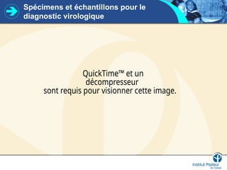 Spécimens et échantillons pour le
diagnostic virologique
QuickTime™ et un
décompresseur
sont requis pour visionner cette image.
 