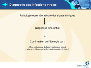 Diagnostic des infections virales
Pathologie observée, récolte des signes cliniques
Diagnostic différentiel
Confirmation de l’étiologie par :
- Mise en évidence de l’agent pathogène (direct)
- Mise en évidence de la réponse immunitaire (indirect)
 