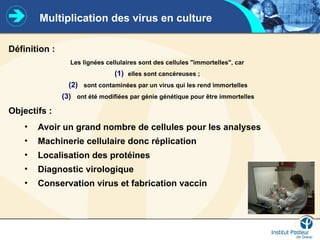 Multiplication des virus en culture
Définition :
Les lignées cellulaires sont des cellules "immortelles", car
(1) elles sont cancéreuses ;
(2) sont contaminées par un virus qui les rend immortelles
(3) ont été modifiées par génie génétique pour être immortelles
Objectifs :
• Avoir un grand nombre de cellules pour les analyses
• Machinerie cellulaire donc réplication
• Localisation des protéines
• Diagnostic virologique
• Conservation virus et fabrication vaccin
 