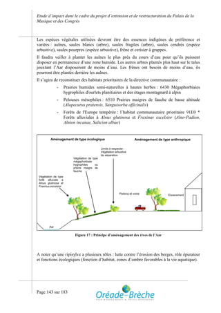 Etude d’impact dans le cadre du projet d’extension et de restructuration du Palais de la
Musique et des Congrès



Les espèces végétales utilisées devront être des essences indigènes de préférence et
variées : aulnes, saules blancs (arbre), saules fragiles (arbre), saules cendrés (espèce
arbustive), saules pourpres (espèce arbustive), frêne et cerisier à grappes.
Il faudra veiller à planter les aulnes le plus près du cours d’eau pour qu’ils puissent
disposer en permanence d’une zone humide. Les autres arbres plantés plus haut sur le talus
jouxtant l’Aar disposeront de moins d’eau. Les frênes ont besoin de moins d’eau, ils
pourront être plantés derrière les aulnes.
Il s’agira de reconstituer des habitats prioritaires de la directive communautaire :
              -       Prairies humides semi-naturelles à hautes herbes : 6430 Mégaphorbiaies
                      hygrophiles d'ourlets planitiaires et des étages montagnard à alpin
              -       Pelouses mésophiles : 6510 Prairies maigres de fauche de basse altitude
                      (Alopecurus pratensis, Sanguisorba officinalis)
              -       Forêts de l'Europe tempérée : l’habitat communautaire prioritaire 91E0 *
                      Forêts alluviales à Alnus glutinosa et Fraxinus excelsior (Alno-Padion,
                      Alnion incanae, Salicion albae)


         Aménagement de type écologique                                   Aménagement de type anthropique

                                                Limite à respecter :
                                                Végétation arbustive
                                                de séparation
                           Végétation de type
                           mégaphorbiaie
                           hygrophiles     ou
                           prairie maigre de
                           fauche
 Végétation de type
 forêt alluviale à
 Alnus glutinosa et
 Fraxinus excelsior

                                                              Parking et voirie             Espacement




        Aar


                            Figure 17 : Principe d’aménagement des rives de l’Aar




A noter qu’une ripisylve a plusieurs rôles : lutte contre l’érosion des berges, rôle épurateur
et fonctions écologiques (fonction d’habitat, zones d’ombre favorables à la vie aquatique).




Page 143 sur 183
 
