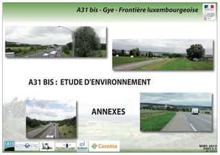 A31 BIS : ETUDE D'ENVIRONNEMENT
ANNEXES
MARS 2015
INDICE 0_0
MZ 579-57
A31 bis - Gye - Frontière luxembourgeoise
 