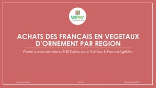 ACHATS DES FRANCAIS EN VEGETAUX
D’ORNEMENT PAR REGION
Panel consommateurs TNS Sofres pour Val’hor & FranceAgriMer
Consommation Val'hor Septembre 2015
 