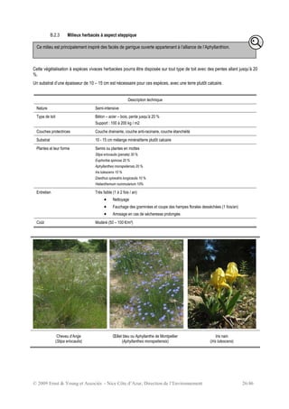 © 2009 Ernst & Young et Associés - Nice Côte d’Azur, Direction de l’Environnement 26/46
B.2.3 Milieux herbacés à aspect steppique
Cette végétalisation à espèces vivaces herbacées pourra être disposée sur tout type de toit avec des pentes allant jusqu’à 20
%.
Un substrat d’une épaisseur de 10 – 15 cm est nécessaire pour ces espèces, avec une terre plutôt calcaire.
Description technique
Nature Semi-intensive
Type de toit Béton – acier – bois, pente jusqu’à 20 %
Support : 100 à 200 kg / m2
Couches protectrices Couche drainante, couche anti-racinaire, couche étanchéité
Substrat 10 - 15 cm mélange minéral/terre plutôt calcaire
Plantes et leur forme Semis ou plantes en mottes
Stipa eriocaulis (penata) 30 %
Euphorbia spinosa 20 %
Aphyllanthes monspeliensis 20 %
Iris lutescens 10 %
Dianthus sylvestris longicaulis 10 %
Helianthemum nummularium 10%
Entretien Très faible (1 à 2 fois / an)
• Nettoyage
• Fauchage des graminées et coupe des hampes florales desséchées (1 fois/an)
• Arrosage en cas de sécheresse prolongée.
Coût Modéré (50 – 100 €/m²)
Cheveu d’Ange
(Stipa eriocaulis)
Œillet bleu ou Aphyllanthe de Montpellier
(Aphyllanthes monspeliensis)
Iris nain
(Iris lutescens)
Ce milieu est principalement inspiré des faciès de garrigue ouverte appartenant à l’alliance de l’Aphyllanthion.
 