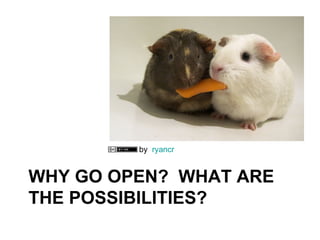 OTHER INTERESTING OPEN
EDUCATION INITIATIVES IN
SOUTH AFRICA
 