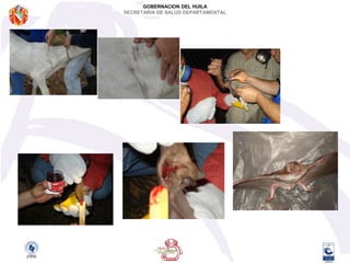 Padres de familia: 972