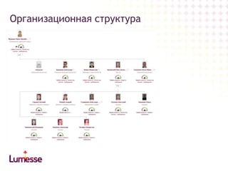 Организационная структура

 