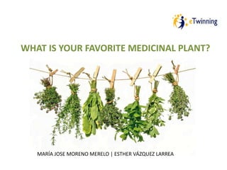 WHAT IS YOUR FAVORITE MEDICINAL PLANT?
MARÍA JOSE MORENO MERELO | ESTHER VÁZQUEZ LARREA
 