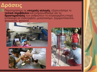 Δράσεις
Παρατηρήσαμε τις εποχικές αλλαγέςεποχικές αλλαγές, εξερευνήσαμε το
τοπικό περιβάλλοντοπικό περιβάλλον και ενημερωθήκαμε για τις
δραστηριότητεςδραστηριότητες των ανθρώπων τη συγκεκριμένη εποχή
(επίσκεψη σε ελαιοτριβείο, μελισσοκόμο, ζαχαροπλαστείο,
φαρμακείο, φούρνο)
 
