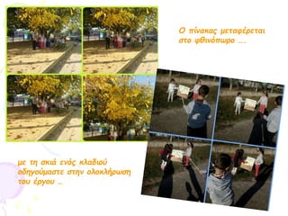 Ο πίνακας μεταφέρεται
στο φθινόπωρο ….
με τη σκιά ενός κλαδιού
οδηγούμαστε στην ολοκλήρωση
του έργου …
 