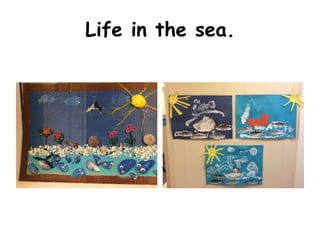 Life in the sea. 
 