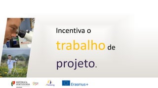 Incentiva o
trabalhode
projeto.
 