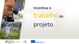 Incentiva o
trabalhode
projeto.
 