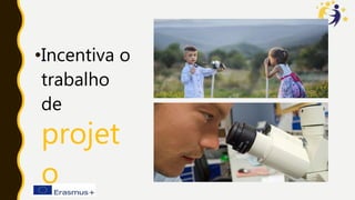 •Incentiva o
trabalho
de
projet
o
 