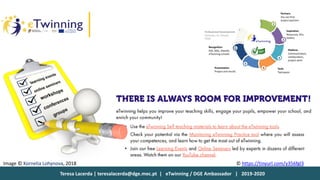 Teresa Lacerda | teresalacerda@dge.mec.pt | eTwinning / DGE Ambassador | 2019-2020
© https://tinyurl.com/y356fgl3Image © Kornelia Lohynova, 2018
 