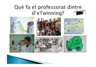 E Twinning Lleida Catala