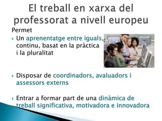 E Twinning Lleida Catala