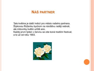 NÁŠ PARTNER

Tato květina je další indicií pro město našeho partnera.
Šípkovou Růženku bychom na návštěvu raději nebrali,
ale milovníky květin určitě ano.
Každý první týden v červnu se zde koná tradiční festival,
a to už od roku 1903.
 