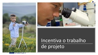 Incentiva o trabalho
de projeto
 