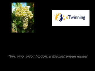 Ευρωπαϊκό Πρόγραμμα
eTwinning
““Vin, vino,Vin, vino, οίνος (κρασί):οίνος (κρασί): a Mediterranean mattera Mediterranean matter
 
