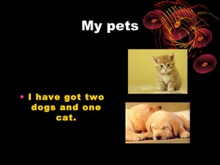 My pets




• I have got two
   dogs and one
       cat.
 