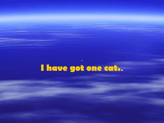 .
I have got one cat..