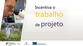 Incentiva o
trabalho
de projeto.
 
