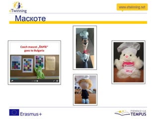 Маскоте
 