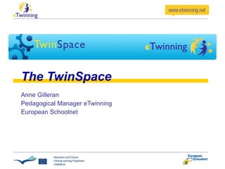 The TwinSpace Anne Gilleran Pedagogical Manager eTwinning European Schoolnet 