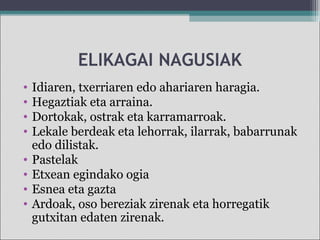 ELIKAGAI NAGUSIAK
• Idiaren, txerriaren edo ahariaren haragia.
• Hegaztiak eta arraina.
• Dortokak, ostrak eta karramarroak.
• Lekale berdeak eta lehorrak, ilarrak, babarrunak
edo dilistak.
• Pastelak
• Etxean egindako ogia
• Esnea eta gazta
• Ardoak, oso bereziak zirenak eta horregatik
gutxitan edaten zirenak.
 