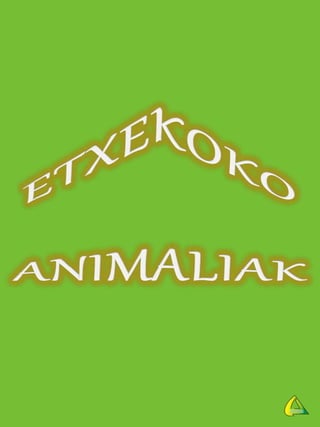 ETXEKO ANIMALIAK