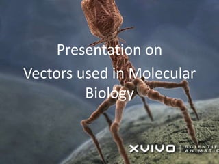 Presentation on
Vectors used in Molecular
Biology
 