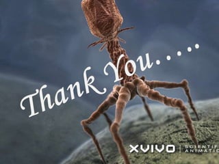 Vector in molecular biology