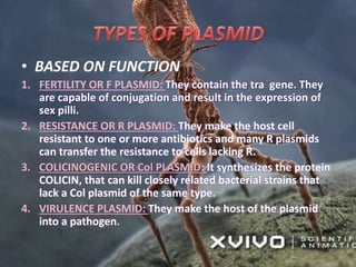 • BASED ON FUNCTION
1. FERTILITY OR F PLASMID: They contain the tra gene. They
are capable of conjugation and result in the expression of
sex pilli.
2. RESISTANCE OR R PLASMID: They make the host cell
resistant to one or more antibiotics and many R plasmids
can transfer the resistance to cells lacking R.
3. COLICINOGENIC OR Col PLASMID: It synthesizes the protein
COLICIN, that can kill closely related bacterial strains that
lack a Col plasmid of the same type.
4. VIRULENCE PLASMID: They make the host of the plasmid
into a pathogen.
 
