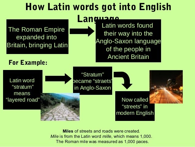 Greek Latin Etymology 41