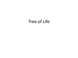 Tree of Life
 