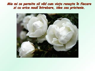 Mie mi se permite să văd cum viaţa renaşte în fiecare zi cu orice nouă întrebare, idee sau prietenie. 