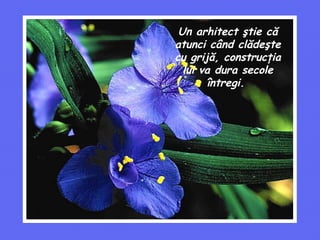Un arhitect ştie că atunci când clădeşte cu grijă, construcţia lui va dura secole întregi.   