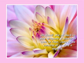 Un dascăl ştie că dacă va pune dragoste şi adevăr în ceea ce face, ceea ce va construi el va dura o veşnicie. 