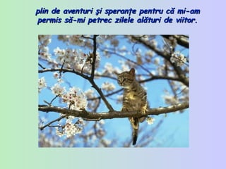 plin de aventuri şi  speranţe  pentru că mi-am permis să-mi petrec zilele al ă turi de viitor. 